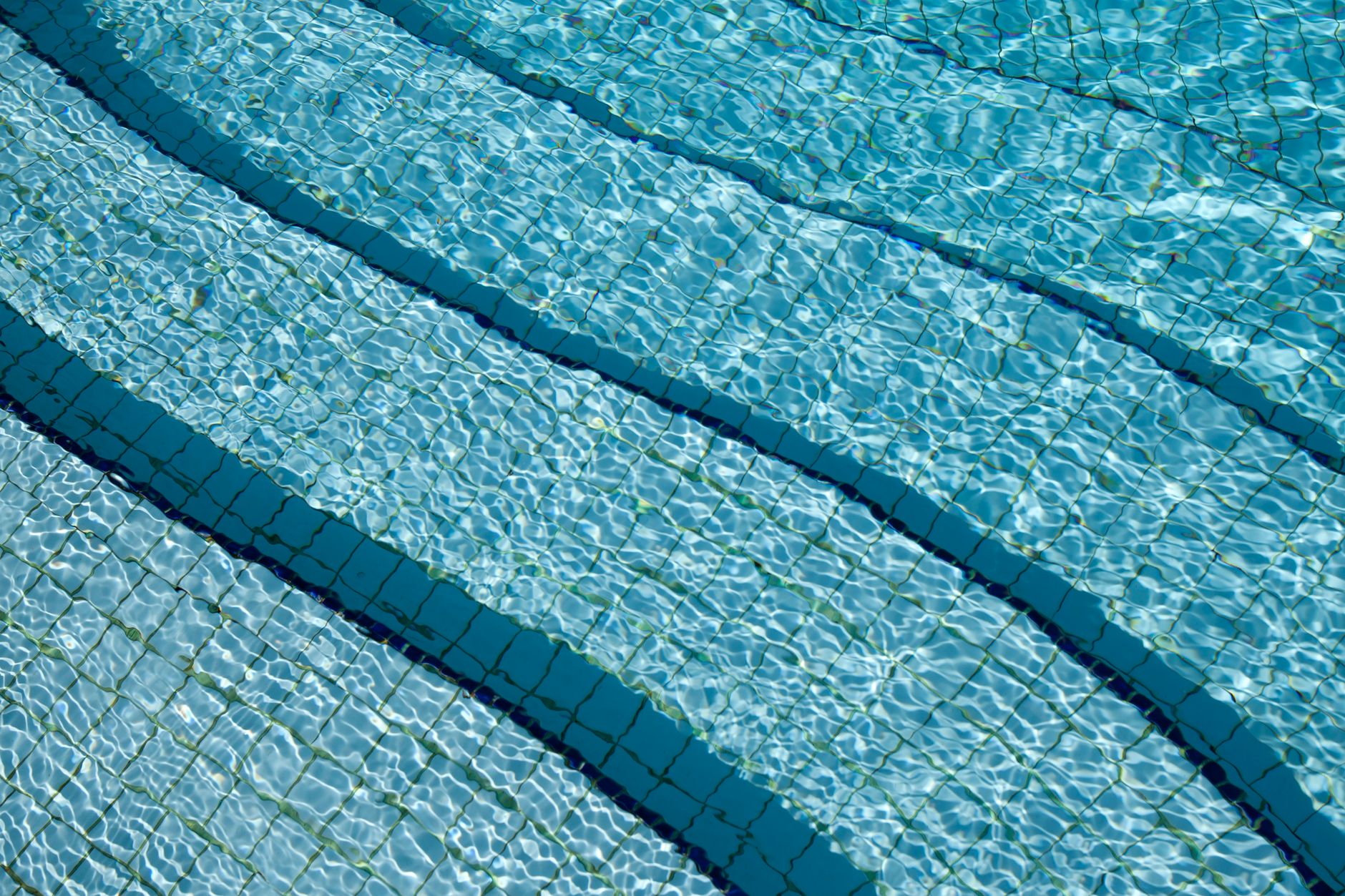 Pool technician cleaning and maintaining a backyard pool