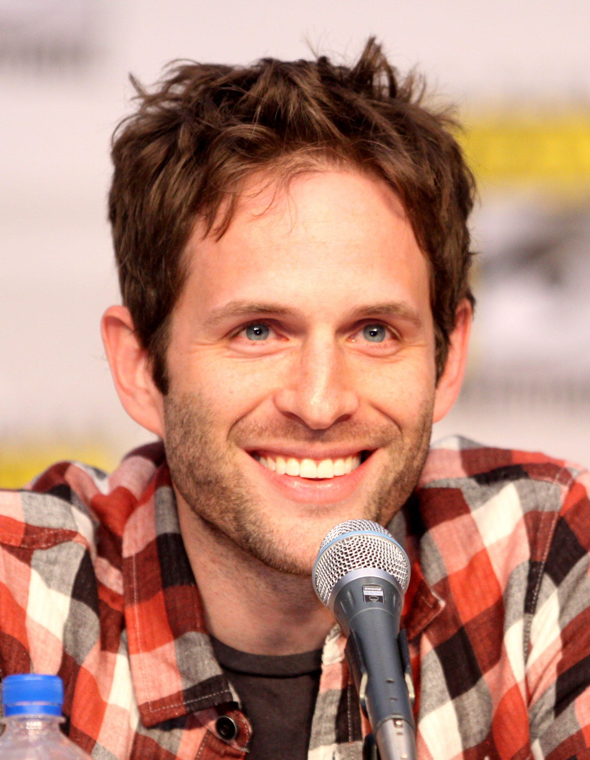 Glenn Howerton as Dennis Reynolds